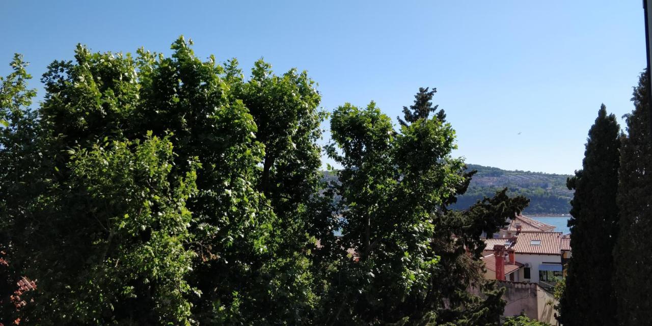 City Center Apartment Κόπερ Εξωτερικό φωτογραφία